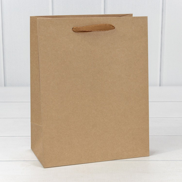 Пакет подарочный Крафт "Люкс" 18*23*10 210г 1/20 1/360 Арт: 000221E