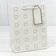 Пакет подарочный с тиснением &quot;Квадратики&quot; (микс) 18*23*10 210г 1/20 1/360 Арт: 000881E - Пакет подарочный с тиснением "Квадратики" (микс) 18*23*10 210г 1/20 1/360 Арт: 000881E