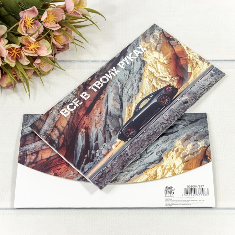 Конверт подарочный 16,5*9см 397 1/10 1/250 Арт: 003004/397