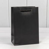 Пакет подарочный "Фактура" Чёрный 14*20*8 210г 1/20 1/480 Арт: 300480G/2