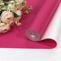 Плёнка 80004 59 см 800 г